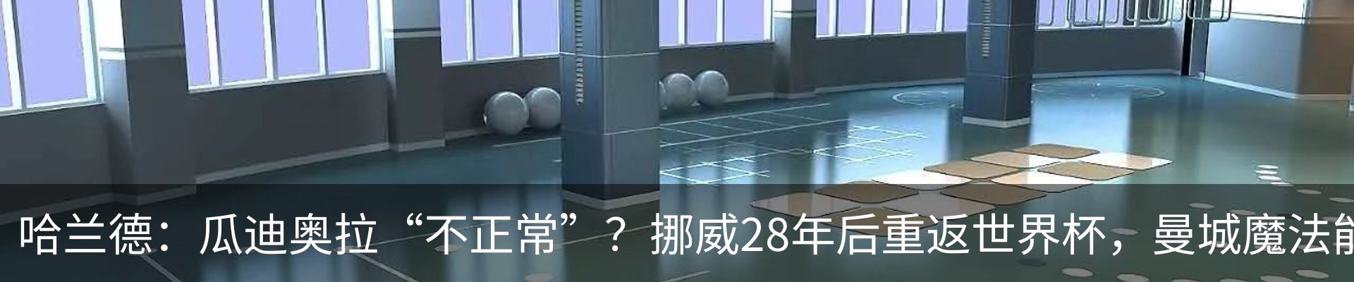 新闻动态