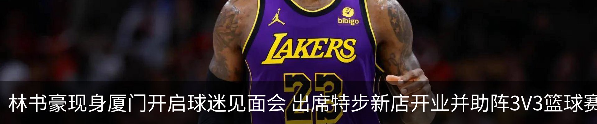 新闻动态